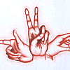 Conte Hands