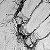 Hands 05