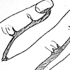 Hands 07