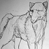 Wolf 01