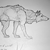 Wolf 02